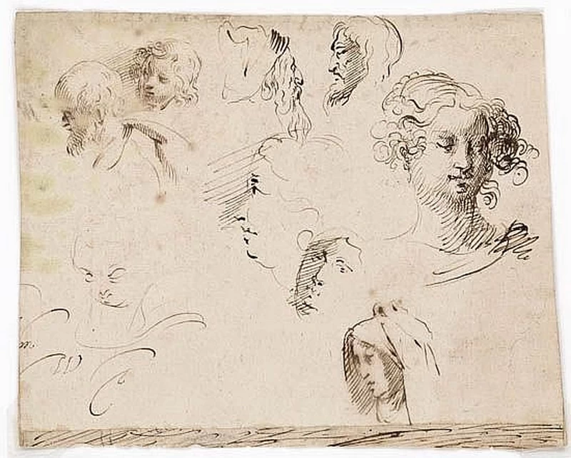 Foglio di studi di teste